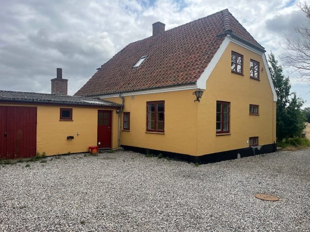 image12.jpeg