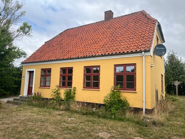 image14.jpeg